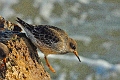 22 01 15_0926_edited-1